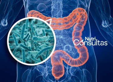 Beneficios de los probióticos: flora intestinal