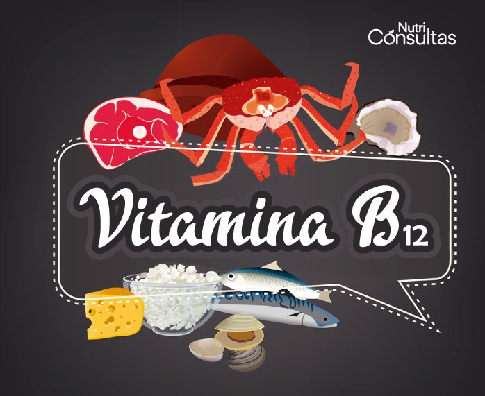 Función de la vitamina B12: alimentos ricos en vitamina B12