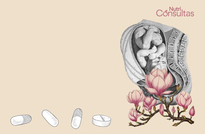 ilustración ácido fólico y embarazo - collage de Aurora Quiterio